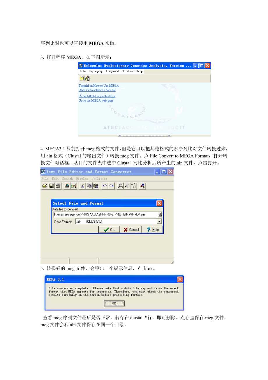 用MEGA构建进化树.doc_第3页