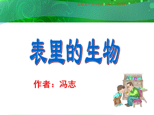 《表里的生物PPT课件》.ppt