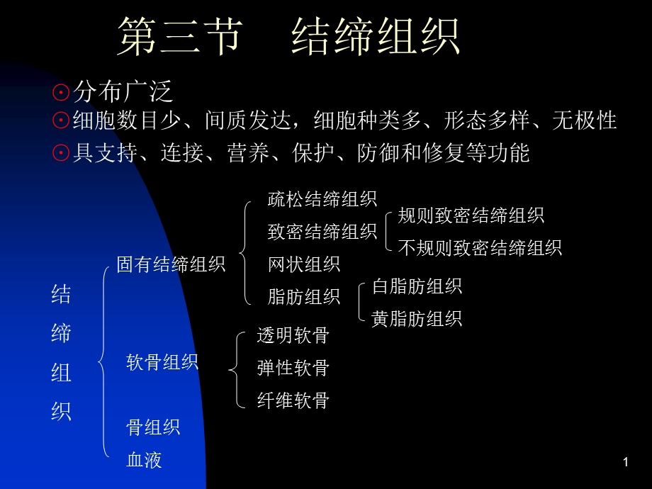 《结缔组织》课件.ppt_第1页