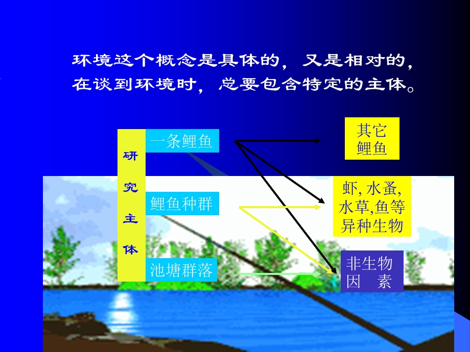 《生物与环境》课件.ppt_第3页