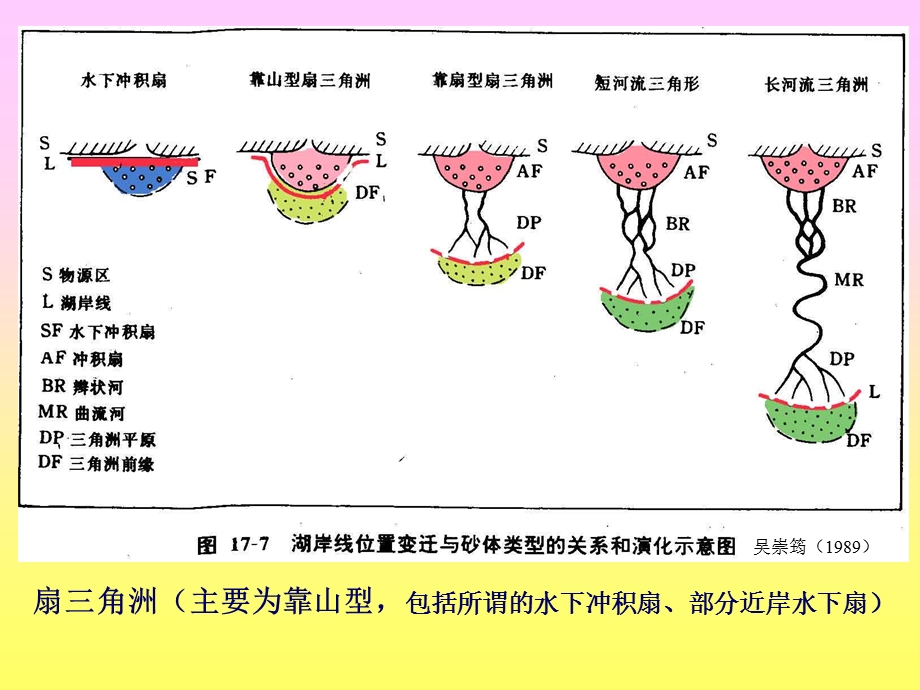 《角洲体系概况》课件.ppt_第3页