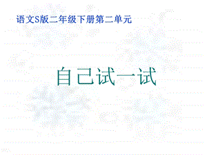 二年级下册自己试一试语.ppt