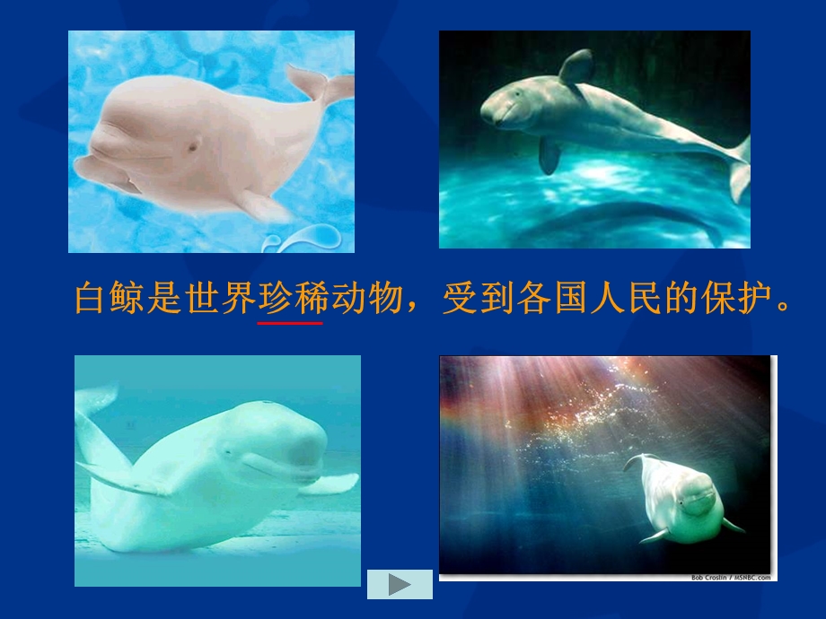 二年级第一学期教学课件.ppt_第2页