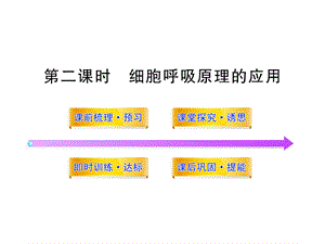 《细胞呼吸原理的应用》.ppt