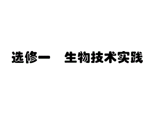 传统发酵技术的应用(新人教版).ppt