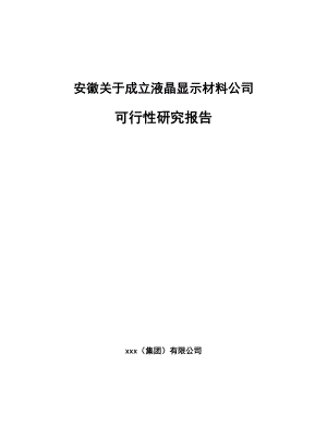 安徽关于成立液晶显示材料公司可行性研究报告.docx