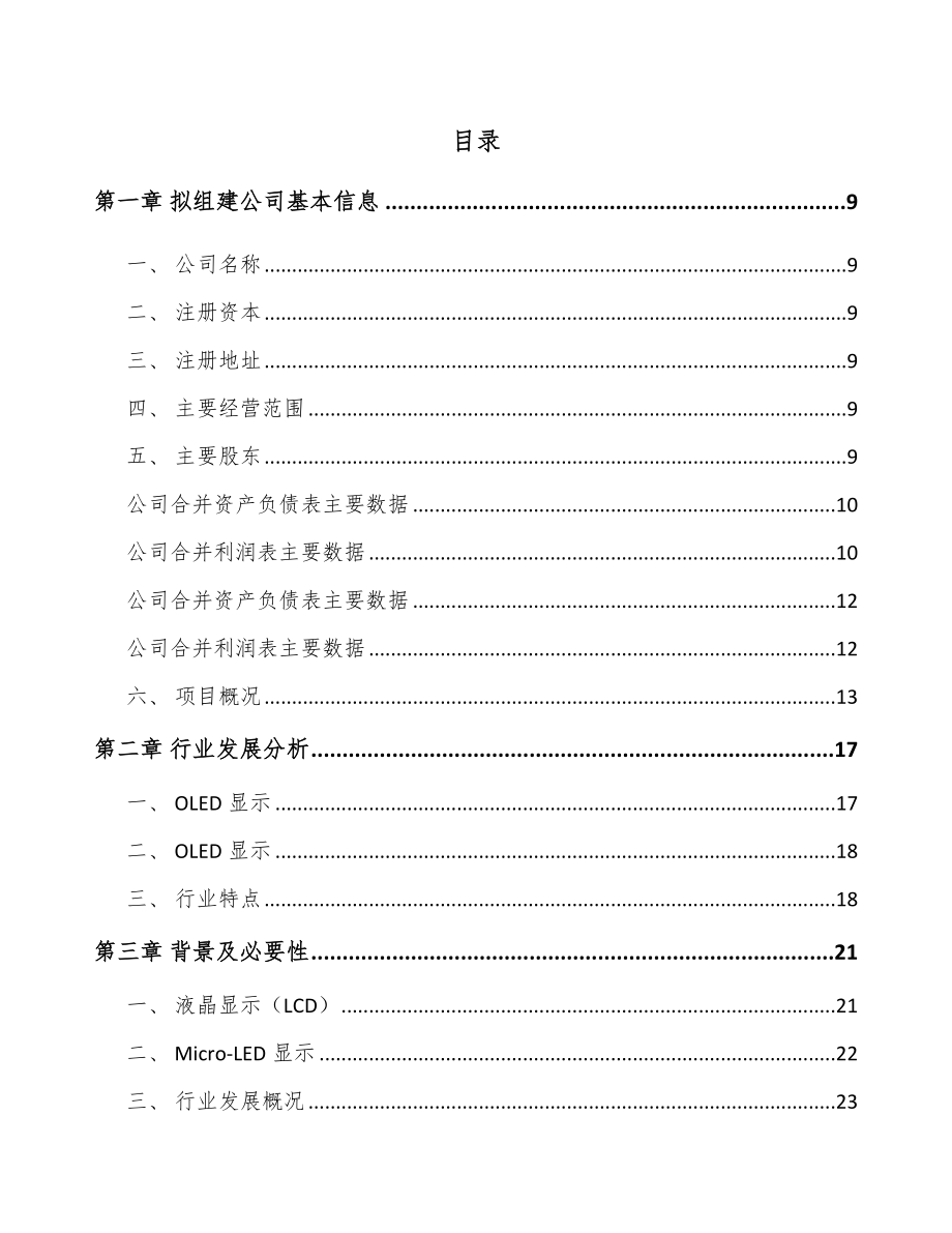 安徽关于成立液晶显示材料公司可行性研究报告.docx_第2页