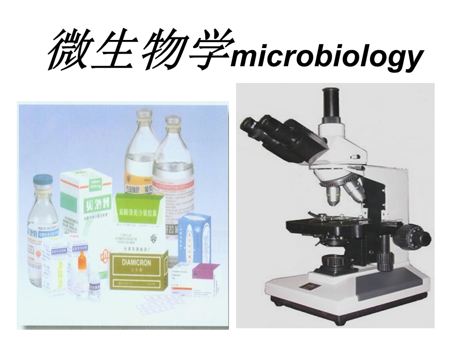 《微生物学》课件.ppt_第1页