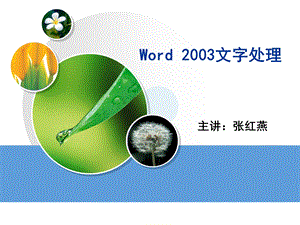 Word2003文字处理.ppt