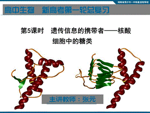 《时遗传信息的携带者-核酸-糖类》.ppt