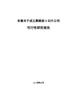 安徽关于成立聚酰胺6切片公司可行性研究报告.docx