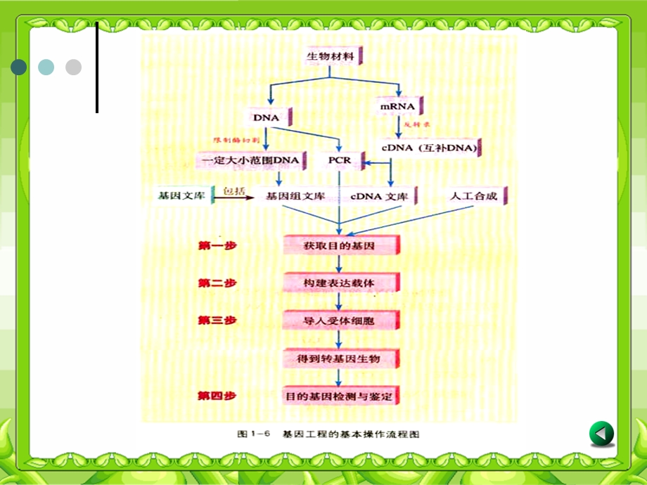 《基因工程的基本操作程序》参考课件.ppt_第3页