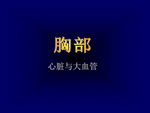 《心脏与大血管》ppt课件.ppt