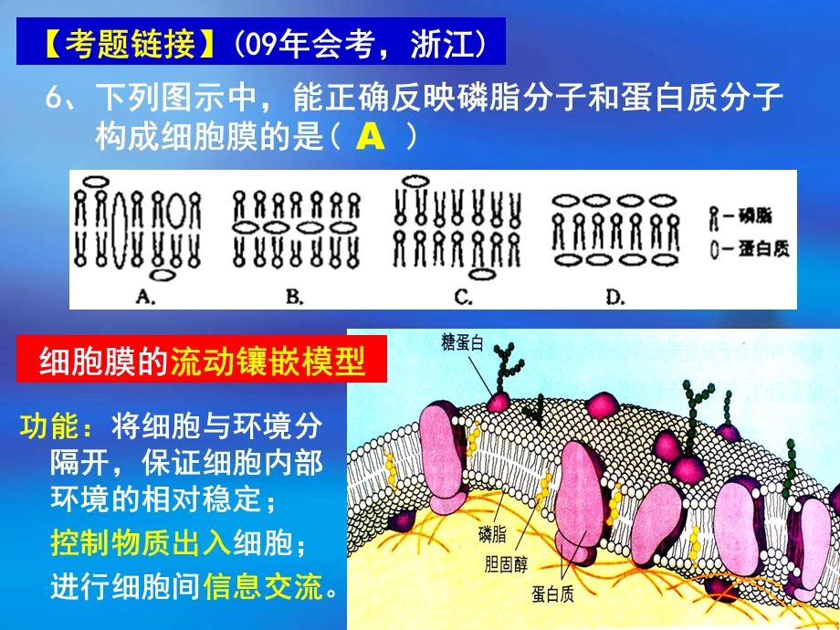 《细胞的基本结构》.ppt_第2页