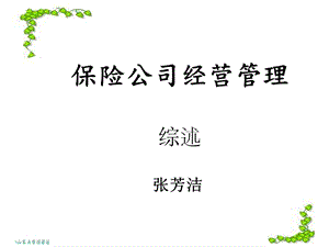 保险经营管理综述.ppt