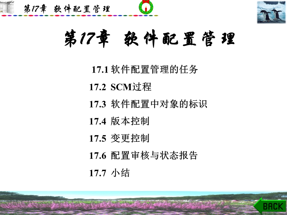 《软件配置管理》课件.ppt_第1页