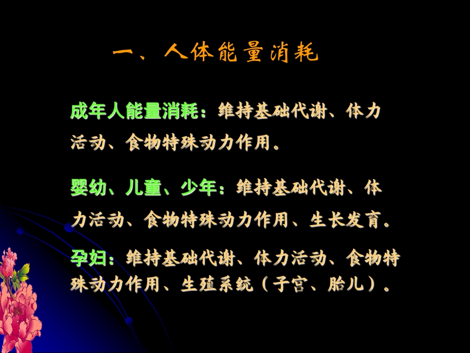 《能量平衡》课件.ppt_第3页