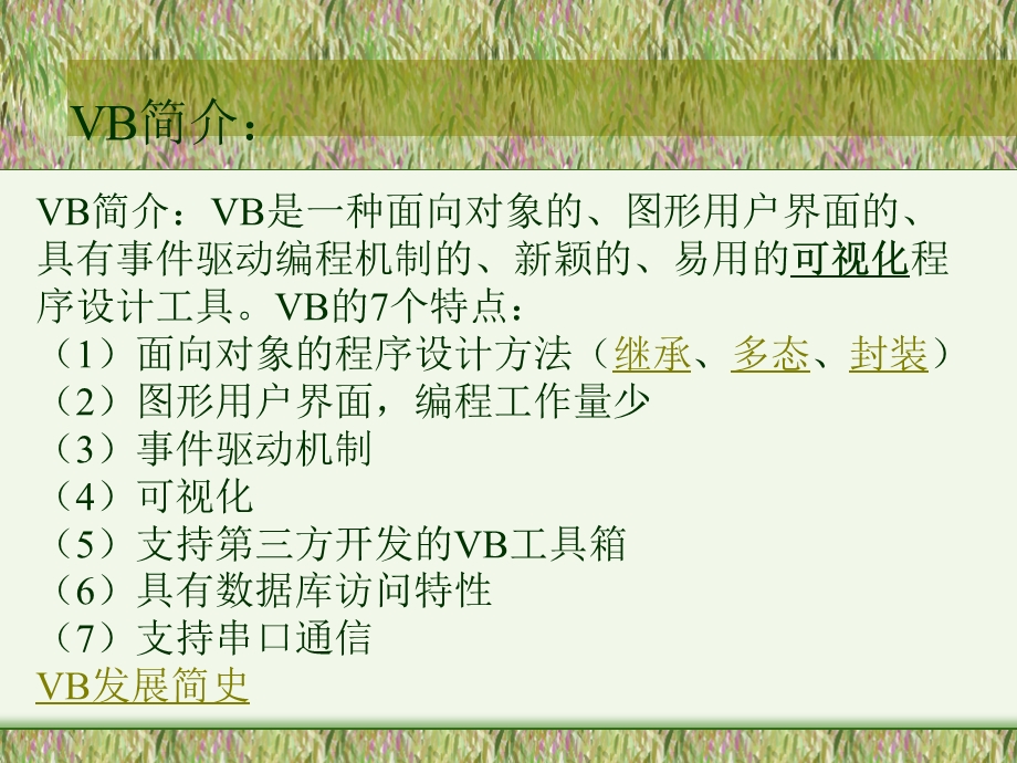 VB语言程序设计(总结).ppt_第1页