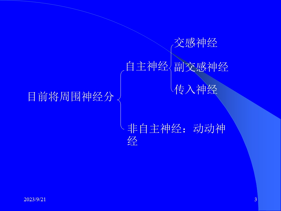 传出神经系统概论.ppt_第3页