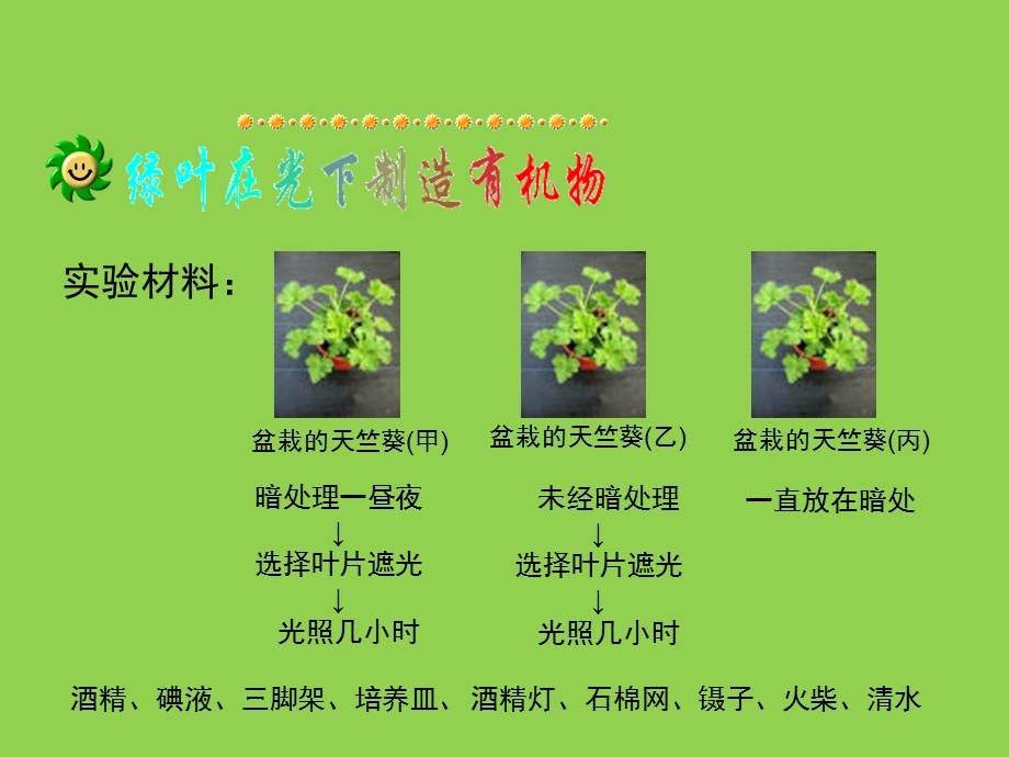 《绿色植物是生物圈中有机物的制造者》.ppt_第3页