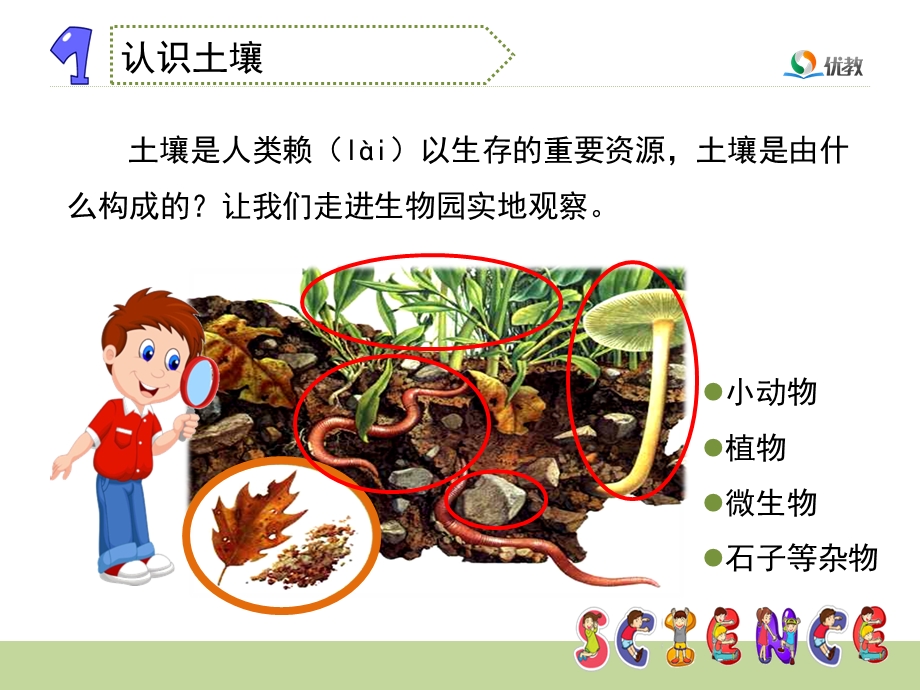 《认识土壤》教学课件.ppt_第3页