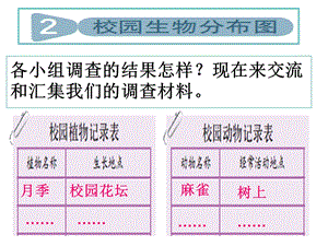 《校园生物分布图》PPT.ppt