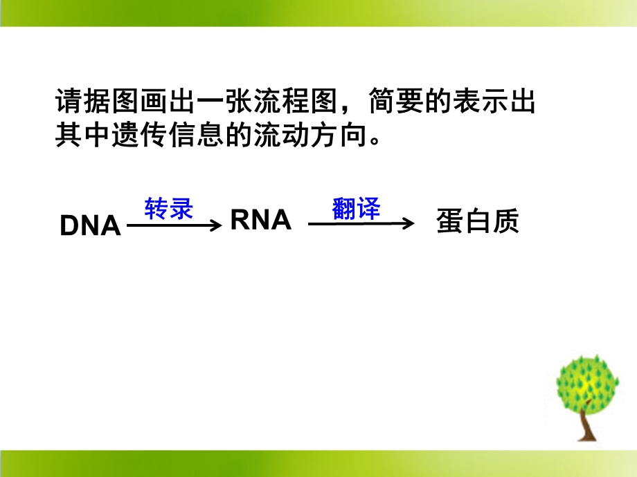 《基因对性状的控制》参考课件.ppt_第2页