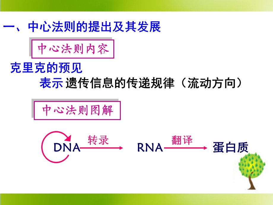 《基因对性状的控制》参考课件.ppt_第3页