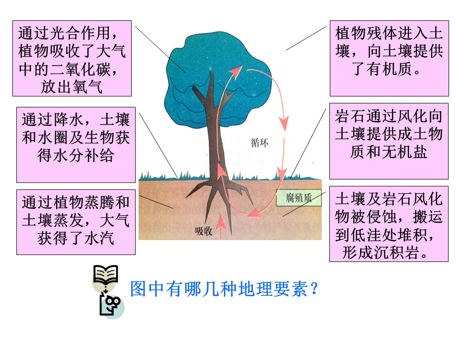 《自然地理环境的整体性与差异性》.ppt_第2页