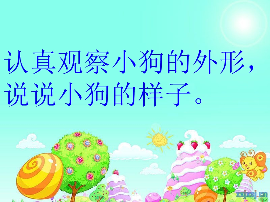 《观察日记》ppt.ppt_第2页