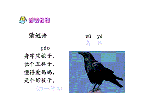 19乌鸦喝水课件.ppt