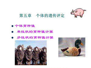 个体的遗传评定.ppt