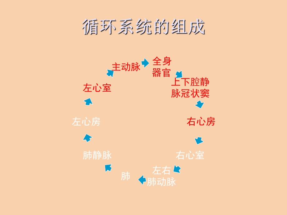 儿科心脏术后监护.ppt_第3页