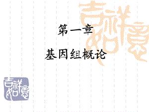 《基因和基因组》课件.ppt