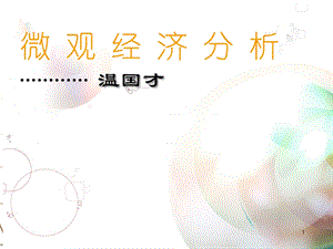 《微观经济分析》课件.ppt