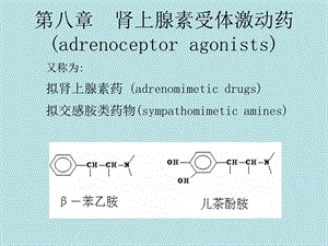 《拟肾上腺素药》课件.ppt