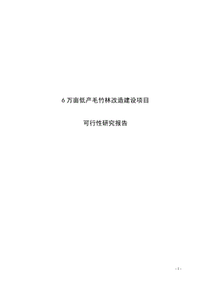 6万亩低产毛竹林改造建设项目可行性研究报告书.doc