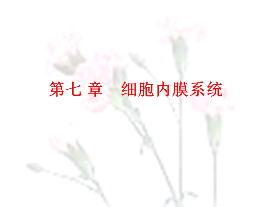 《细胞内膜系统》课件.ppt_第1页