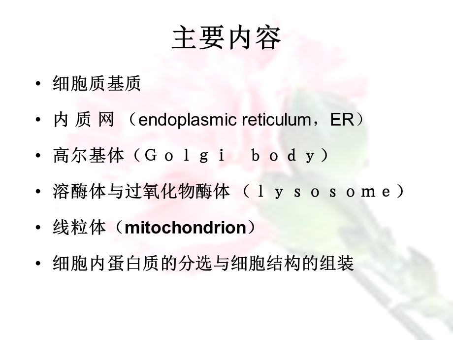 《细胞内膜系统》课件.ppt_第2页