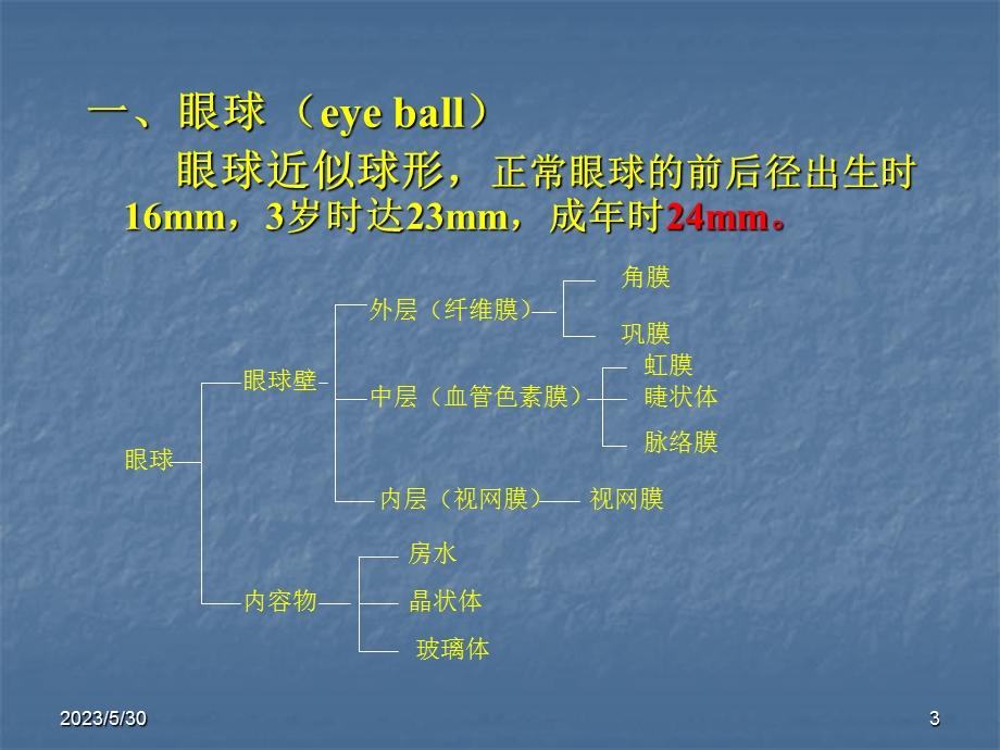 《眼科学基础》课件.ppt_第3页