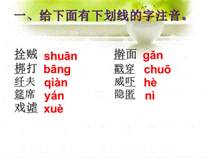 《蒲柳人家》字词注音和词语讲.ppt