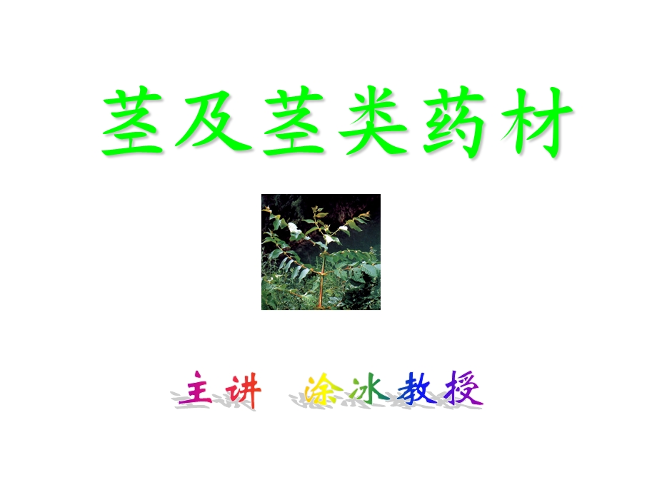 《药用植物学》课件.ppt_第2页