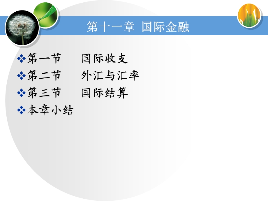 《财政与金融》第十一章国际金融.ppt_第3页