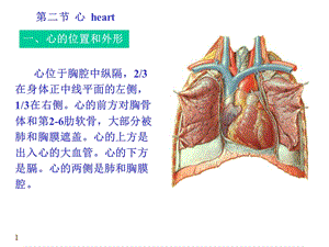 《心血管系统心》课件.ppt