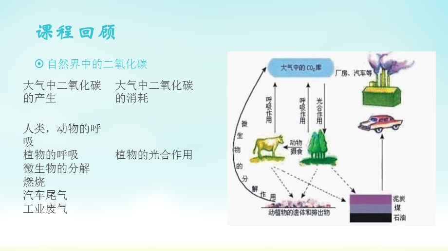 二氧化碳的奇妙变化初中化学.ppt_第2页