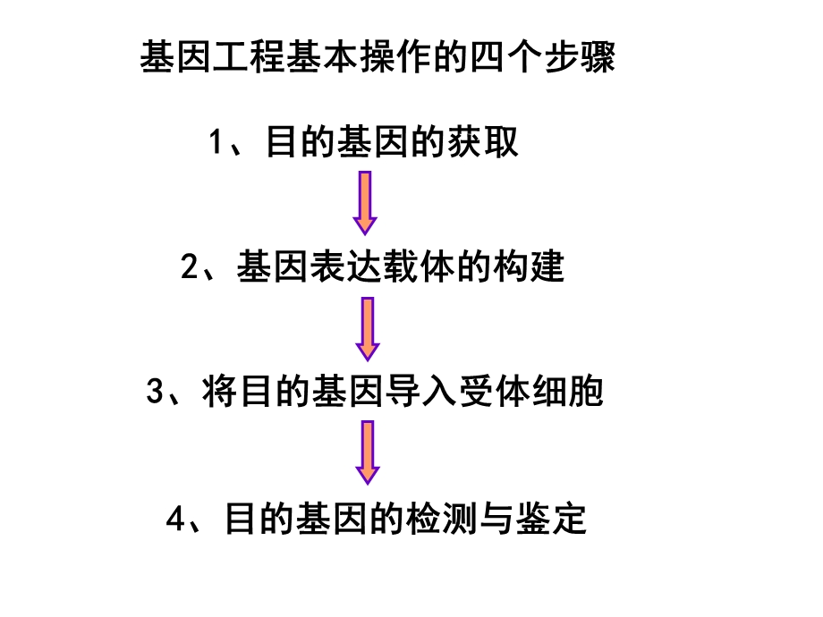 《基因工程的基本操作程序》课件.ppt_第2页