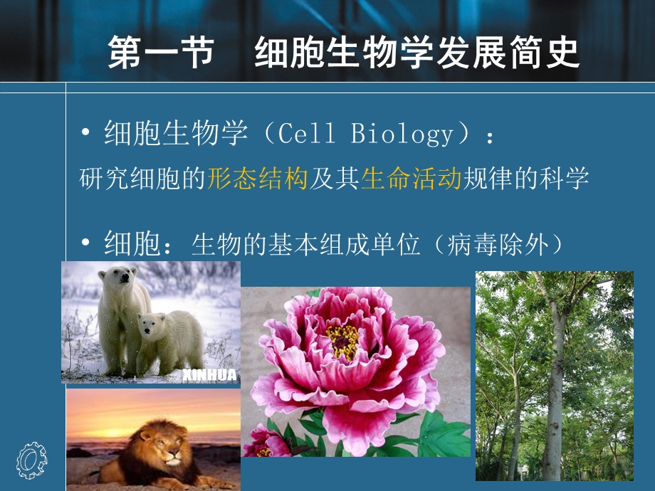 《细胞生物学》课件.ppt_第3页