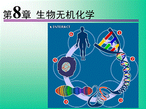 《高等无机化学》课件.ppt