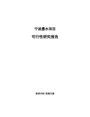 宁波墨水项目研究报告.docx