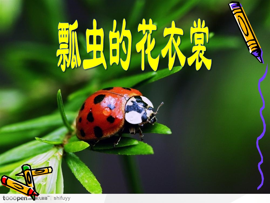 《瓢虫的花衣裳》.ppt_第2页